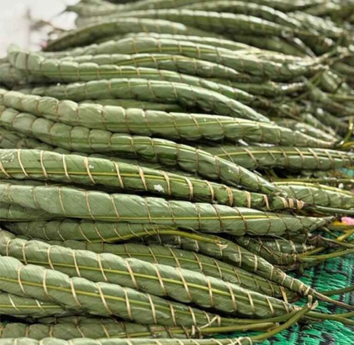 Bâton de Manioc – Image 1